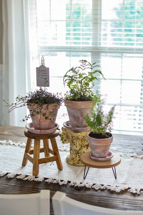 Ideas for houseplants as centerpieces 6