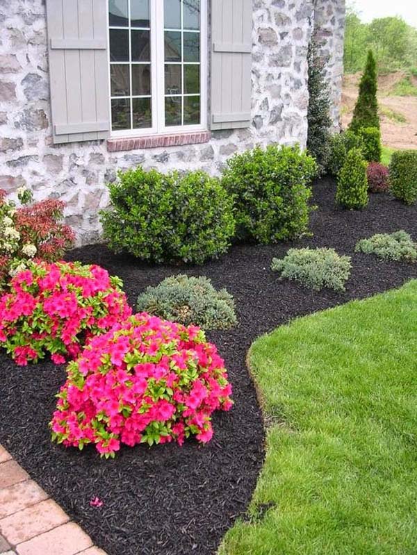 Landscaping around the house with red flowers