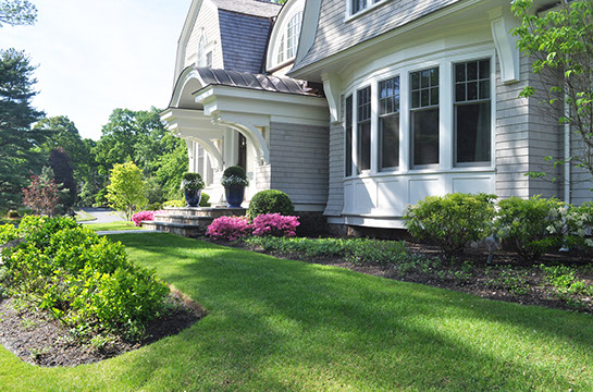 Fabulous lawn around the house