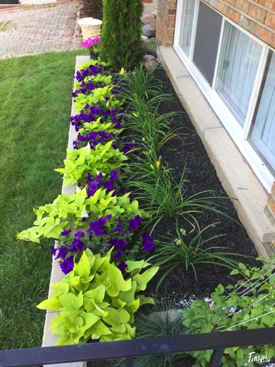 Ideas for gardening with small flowers under the windows